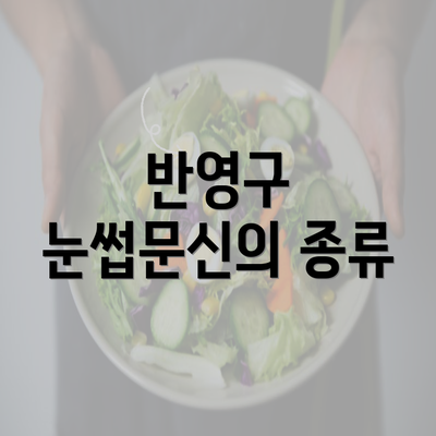 반영구 눈썹문신의 종류