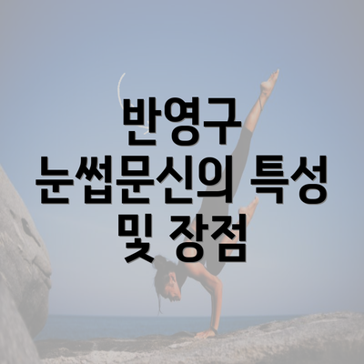 반영구 눈썹문신의 특성 및 장점