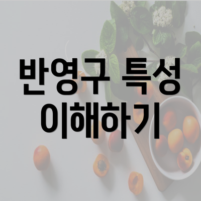 반영구 특성 이해하기