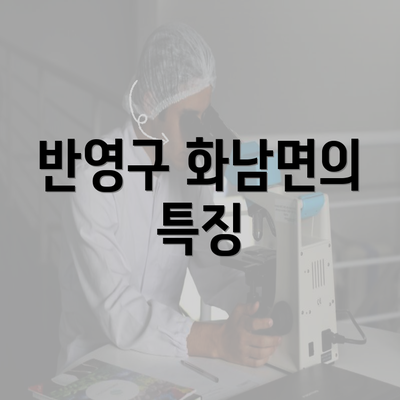 반영구 화남면의 특징