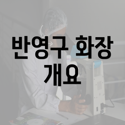 반영구 화장 개요