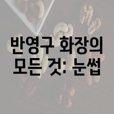 반영구 화장의 모든 것: 눈썹