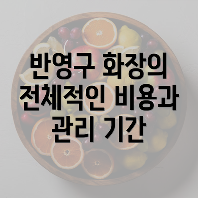 반영구 화장의 전체적인 비용과 관리 기간