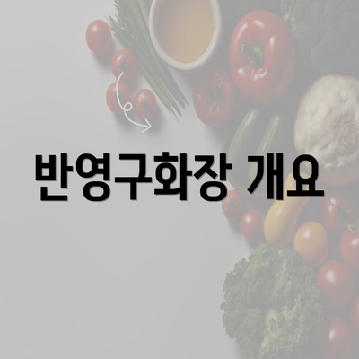 반영구화장 개요