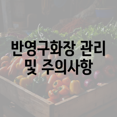 반영구화장 관리 및 주의사항