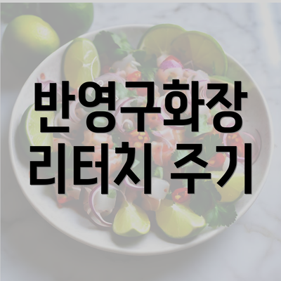 반영구화장 리터치 주기