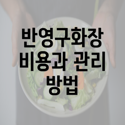 반영구화장 비용과 관리 방법