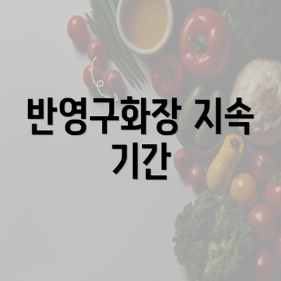 반영구화장 지속 기간