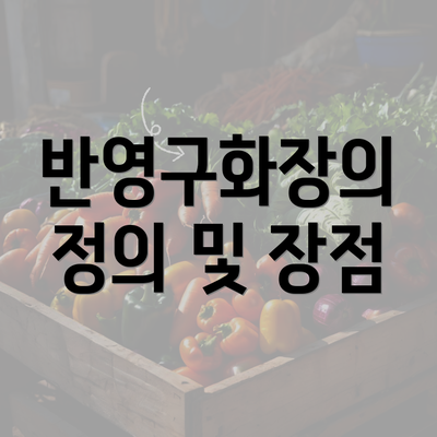 반영구화장의 정의 및 장점