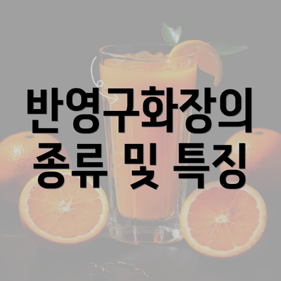 반영구화장의 종류 및 특징