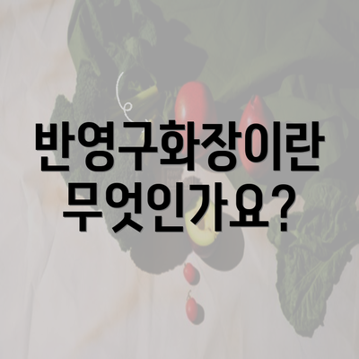 반영구화장이란 무엇인가요?