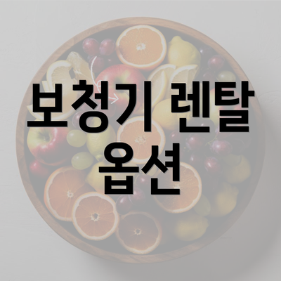 보청기 렌탈 옵션