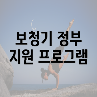 보청기 정부 지원 프로그램