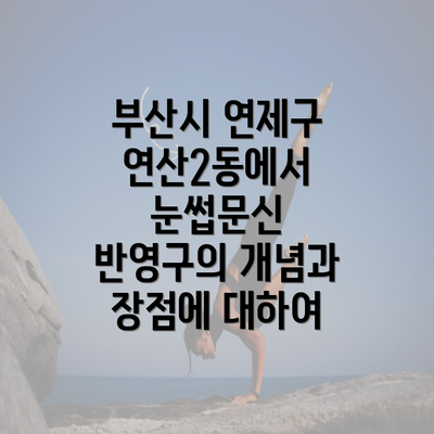 부산시 연제구 연산2동에서 눈썹문신 반영구의 개념과 장점에 대하여