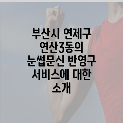 부산시 연제구 연산3동의 눈썹문신 반영구 서비스에 대한 소개