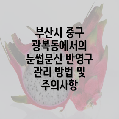 부산시 중구 광복동에서의 눈썹문신 반영구 관리 방법 및 주의사항