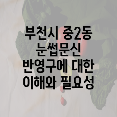 부천시 중2동 눈썹문신 반영구에 대한 이해와 필요성