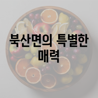 북산면의 특별한 매력