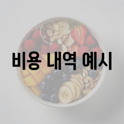 비용 내역 예시