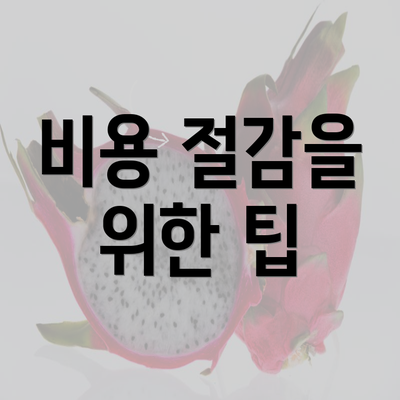 비용 절감을 위한 팁