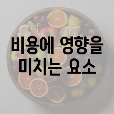 비용에 영향을 미치는 요소