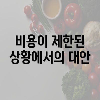 비용이 제한된 상황에서의 대안