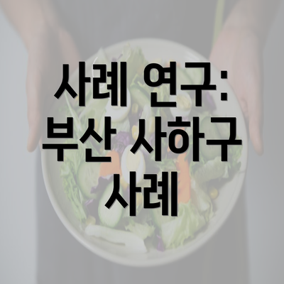 사례 연구: 부산 사하구 사례