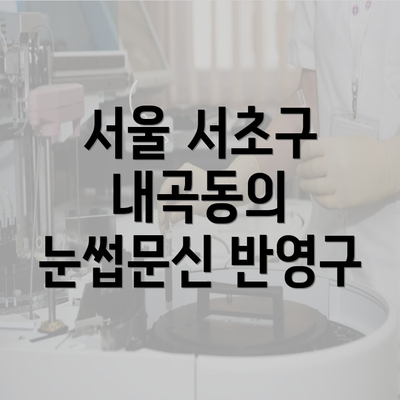 서울 서초구 내곡동의 눈썹문신 반영구