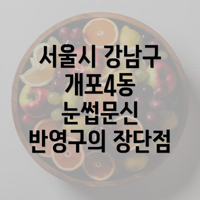 서울시 강남구 개포4동 눈썹문신 반영구의 장단점