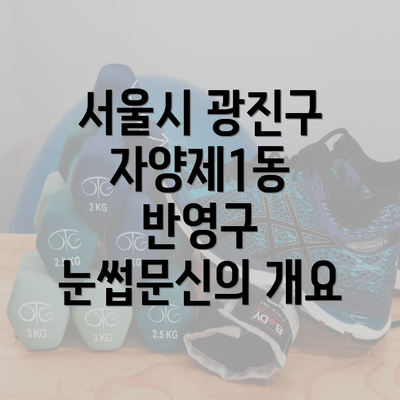 서울시 광진구 자양제1동 반영구 눈썹문신에 대한 모든 것