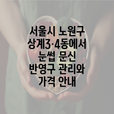 서울시 노원구 상계3·4동에서 눈썹 문신 반영구 관리와 가격 안내