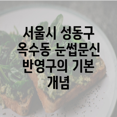 서울시 성동구 옥수동 눈썹문신 반영구의 기본 개념