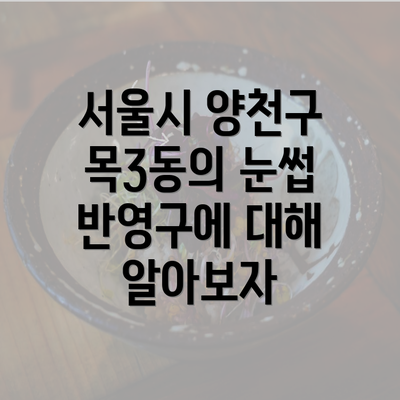 서울시 양천구 목3동의 눈썹 반영구에 대해 알아보자