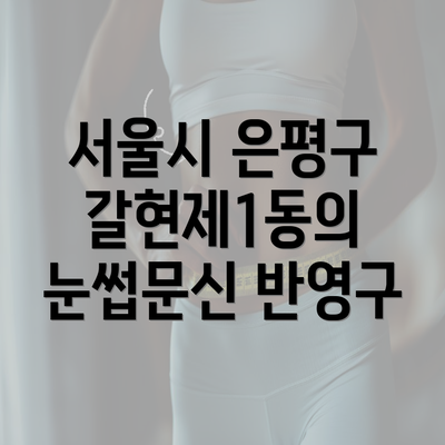 서울시 은평구 갈현제1동의 눈썹문신 반영구