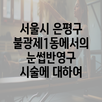 서울시 은평구 불광제1동에서의 눈썹반영구 시술에 대하여