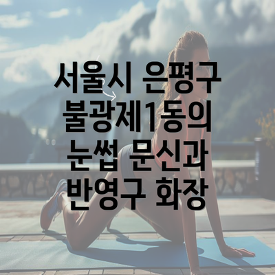 서울시 은평구 불광제1동의 눈썹 문신과 반영구 화장