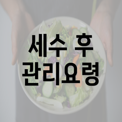 세수 후 관리요령