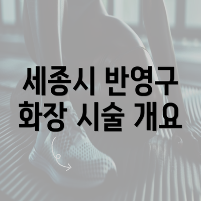 세종시 반영구 화장 시술 개요