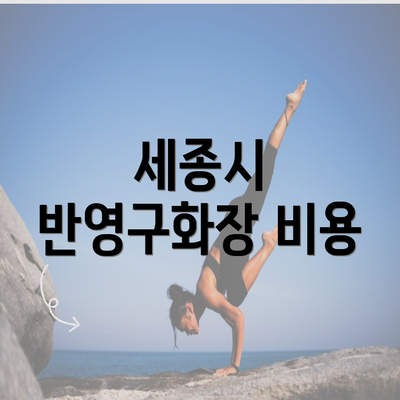 세종시 반영구화장 비용