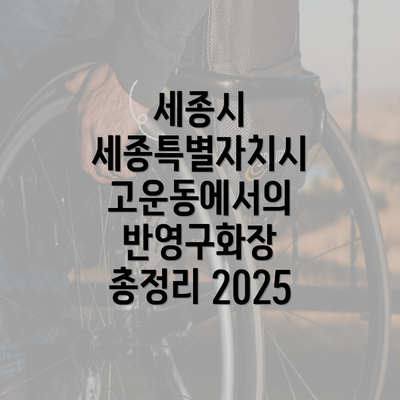 세종시 세종특별자치시 고운동에서의 반영구화장 총정리 2025