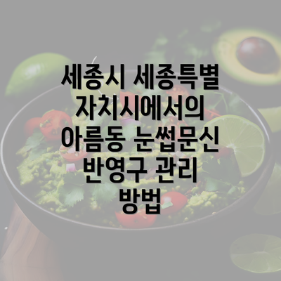 세종시 세종특별자치시에서의 아름동 눈썹문신 반영구 관리 방법