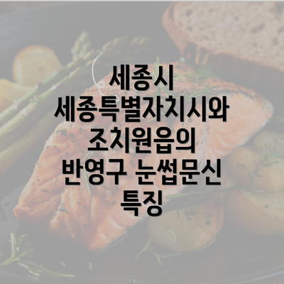 세종시 세종특별자치시와 조치원읍의 반영구 눈썹문신 특징