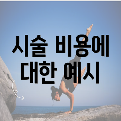 시술 비용에 대한 예시