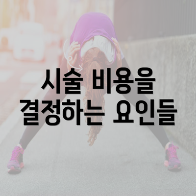 시술 비용을 결정하는 요인들