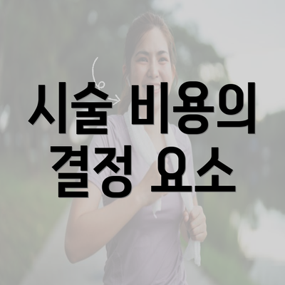 시술 비용의 결정 요소