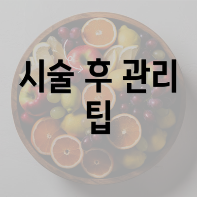 시술 후 관리 팁