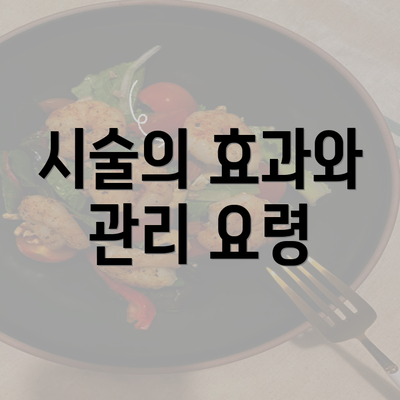 시술의 효과와 관리 요령