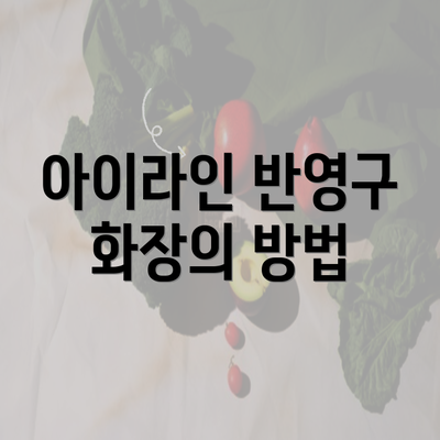 아이라인 반영구 화장의 방법