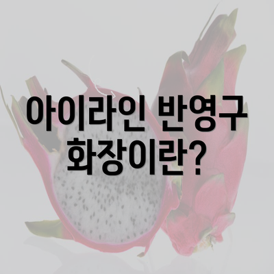 아이라인 반영구 화장이란?