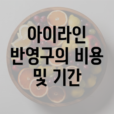 아이라인 반영구의 비용 및 기간